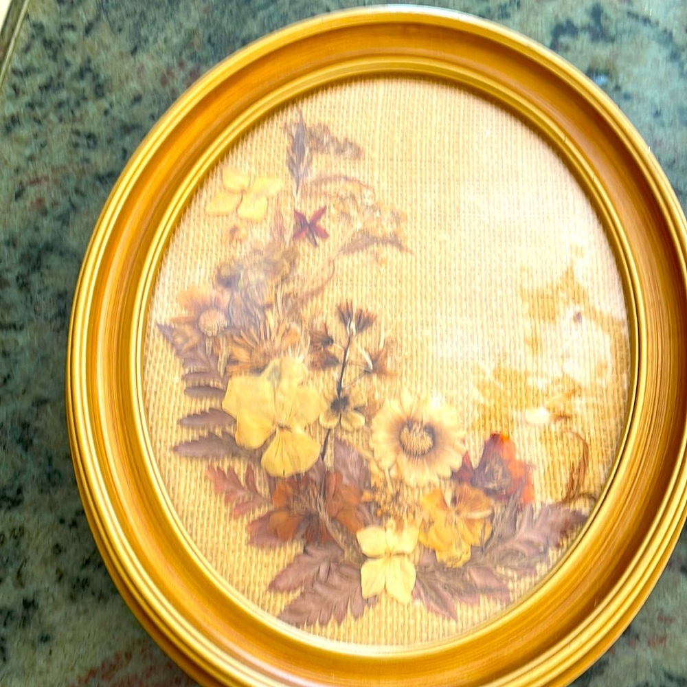 Vintage press flowers with the frame